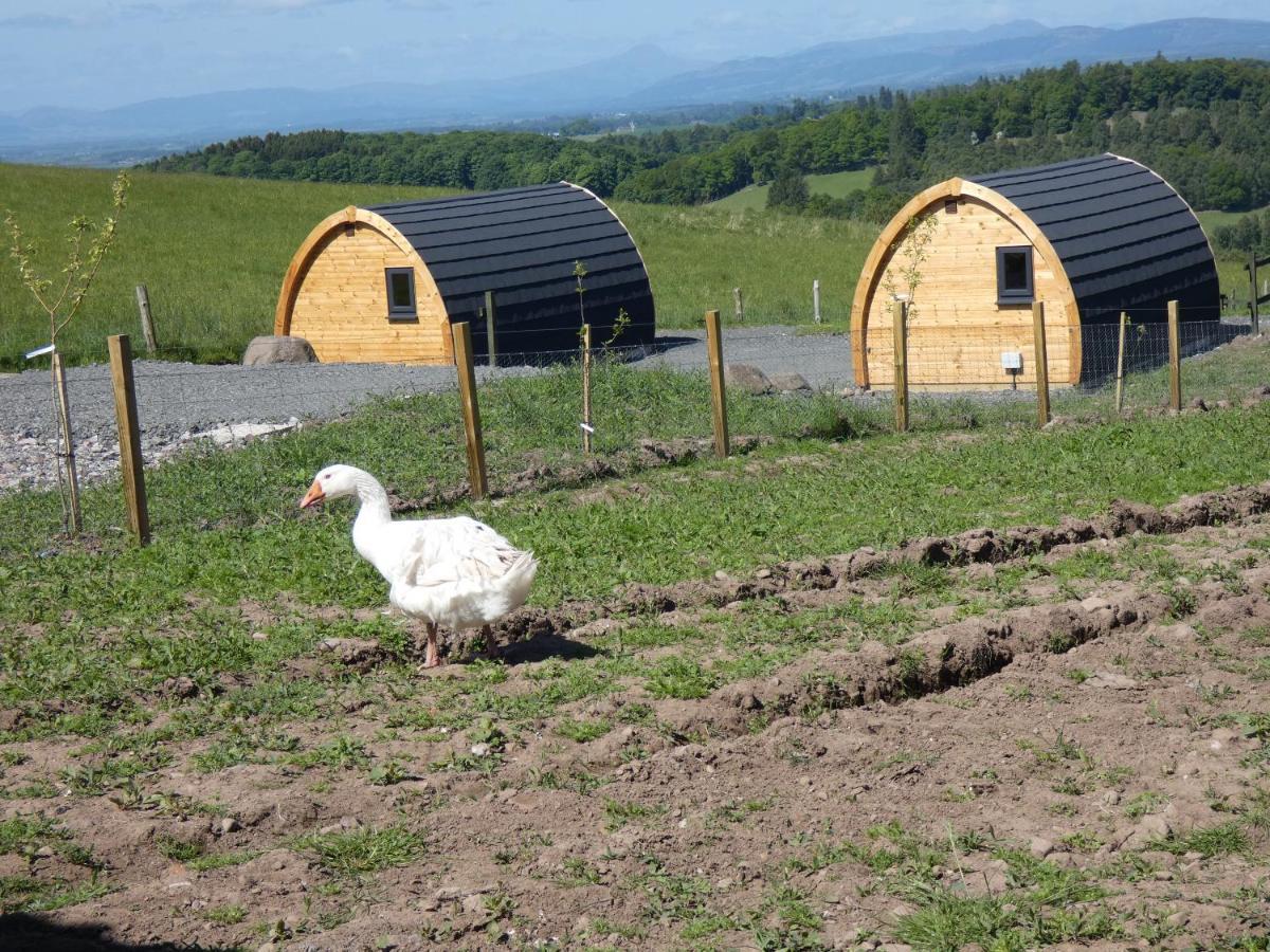 The Arns Glamping Pods Hotel Bridge of Allan Buitenkant foto